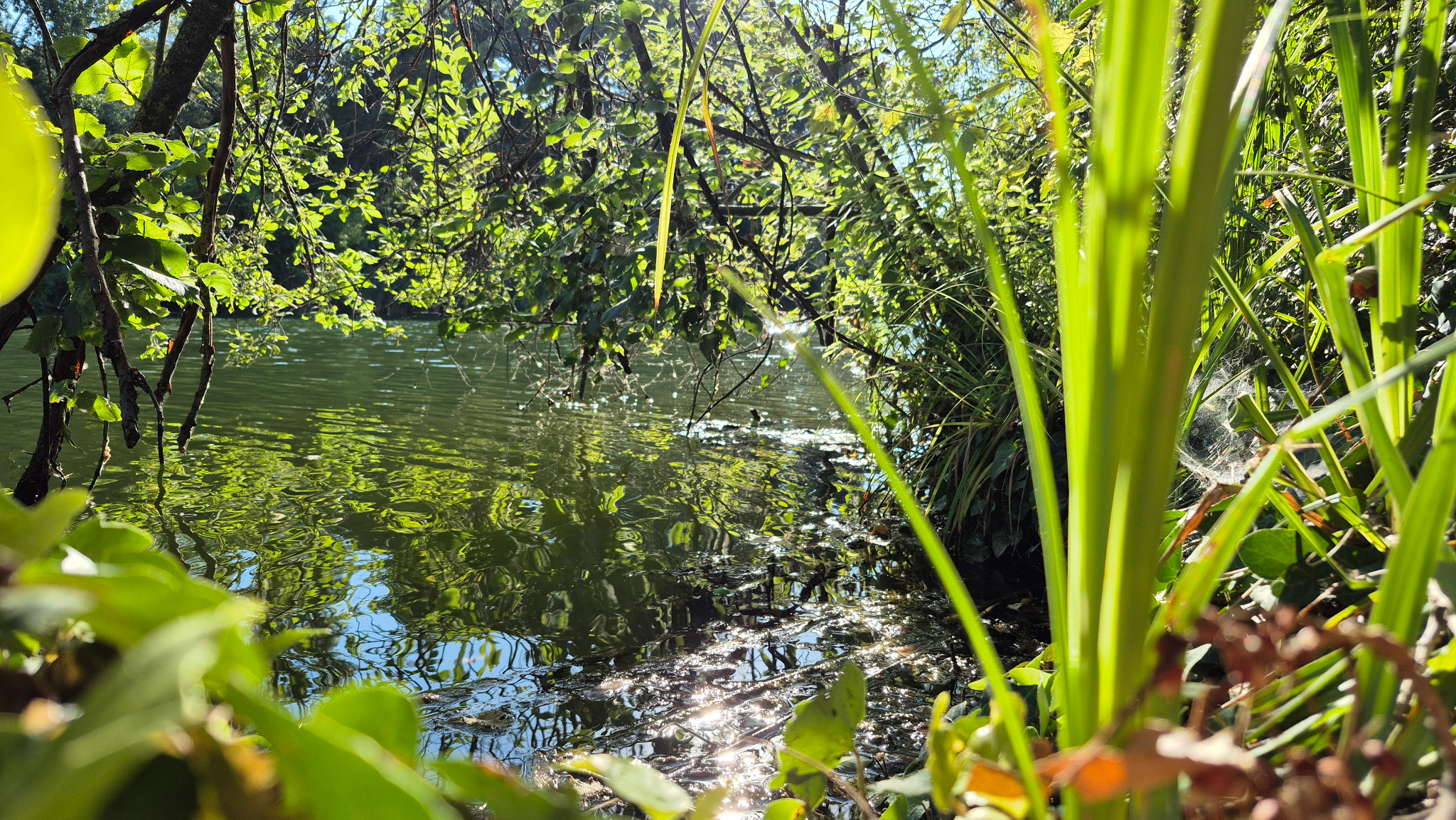Naturstimmung am Wasser – Atem am Fluss