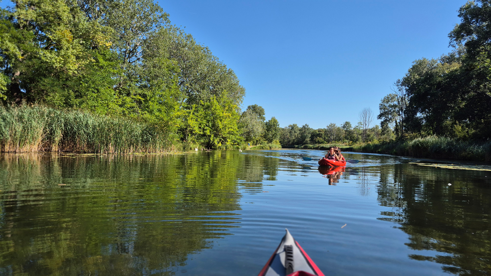 Kajaktour auf einem ruhigen, von Bäumen gesäumten Fluss
